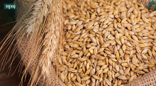 Jaun (Barley) 250 gm